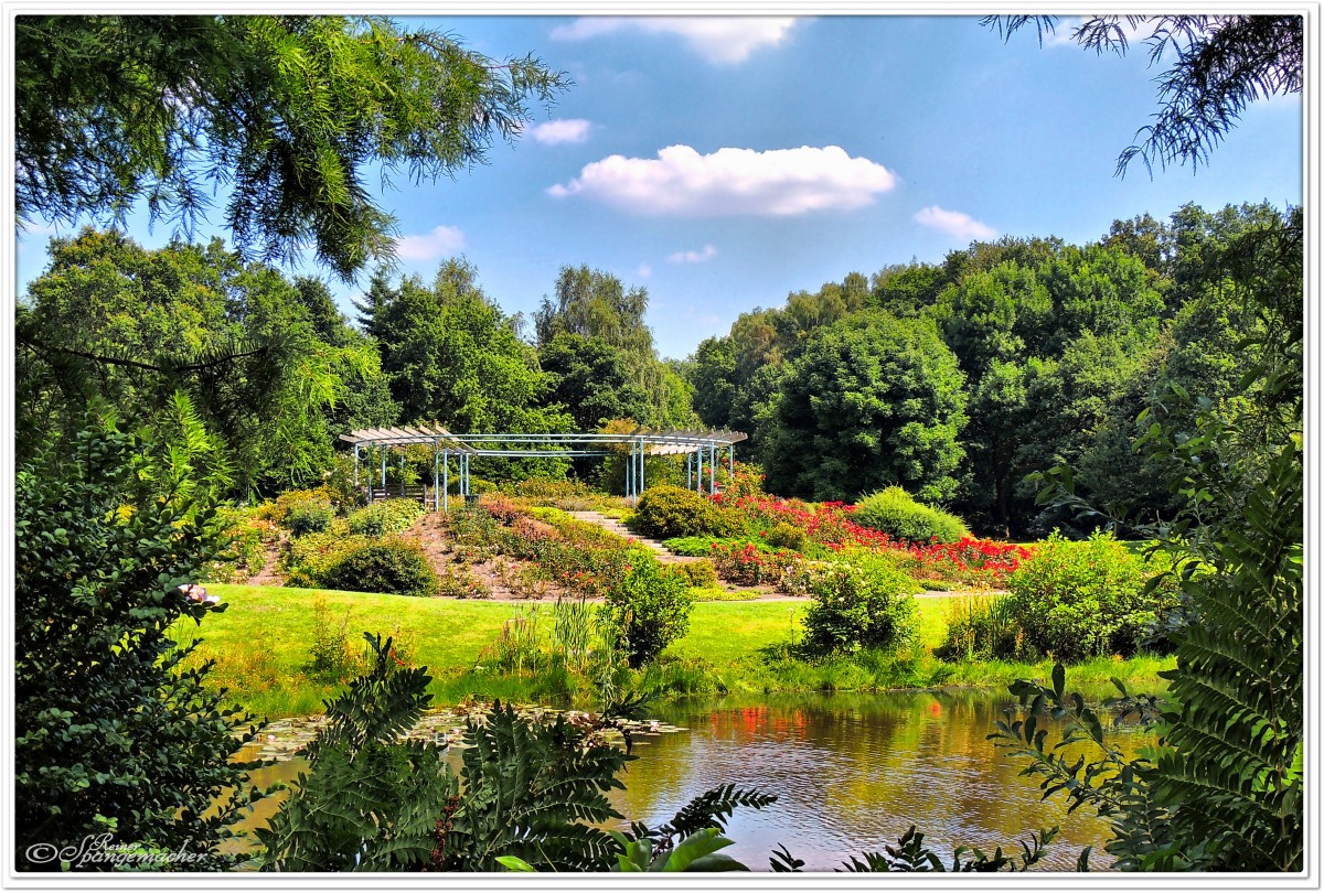 Parklandschaft am Rosarium in Bremen Horn-Lehe, Juli 2014.