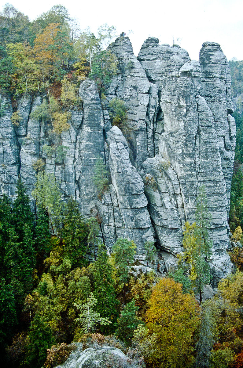 Pavillonaussicht in der Sächsischen Schweiz. Bild vom Dia. Aufnahme: Oktober 1992.