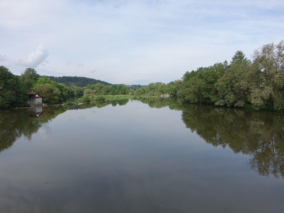 Perlenbach bei der Hammühle bei Beucherling, Lkr. Cham (05.06.2017)