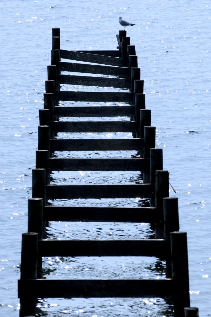 Pfosten einer Badebrücke in Flensburger Förde bei Egernsund (Ekelsund). Im Winterhalbjahr wird der Gehweg von der Brücke in einem Schuppen aufbewahrt. Aufnahme: April 2009.