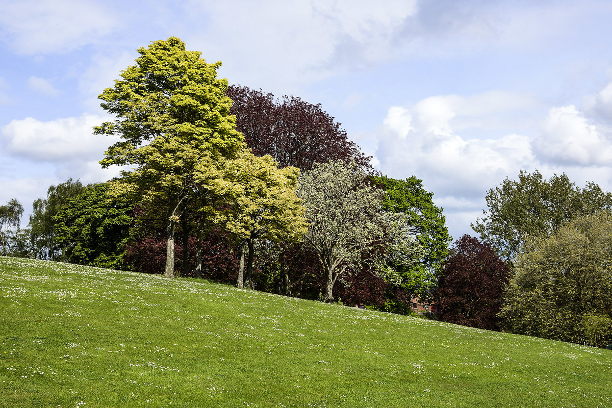 Phoenix Park in Dublin - Der Park spielt eine wichtige Rolle in dem Roman Finnegans Wake von James Joyce.
Aufnahme: 11. Mai 2018.