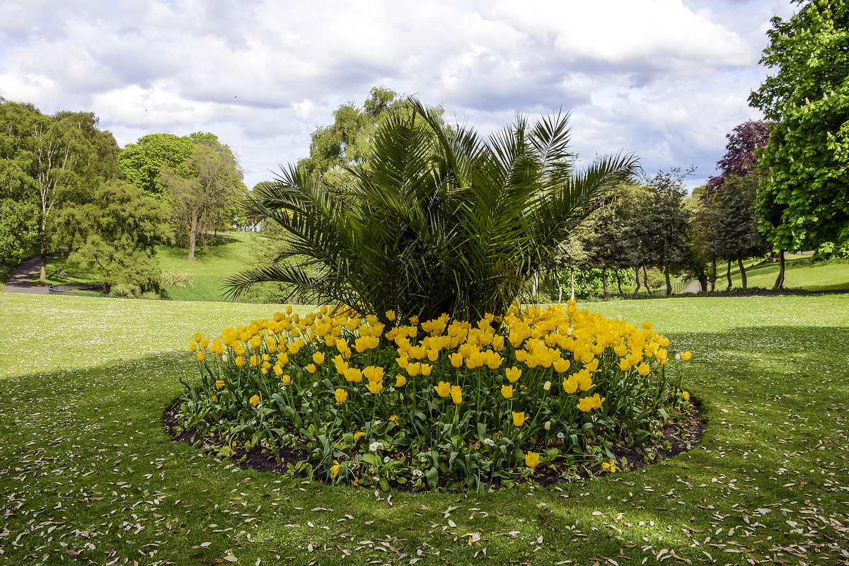 Phoenix Park südlich der Chesterfield Avenue in Dublin. Aufnahme: 11. Mai 2018.