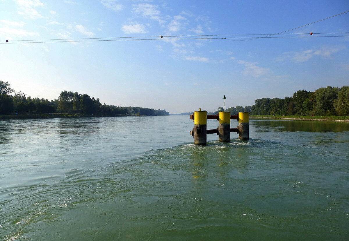 Plittersdorf, Blick von der Autofähre über den Rhein flußaufwärts, bei der Überfahrt am fühen Morgen, Sept.2017