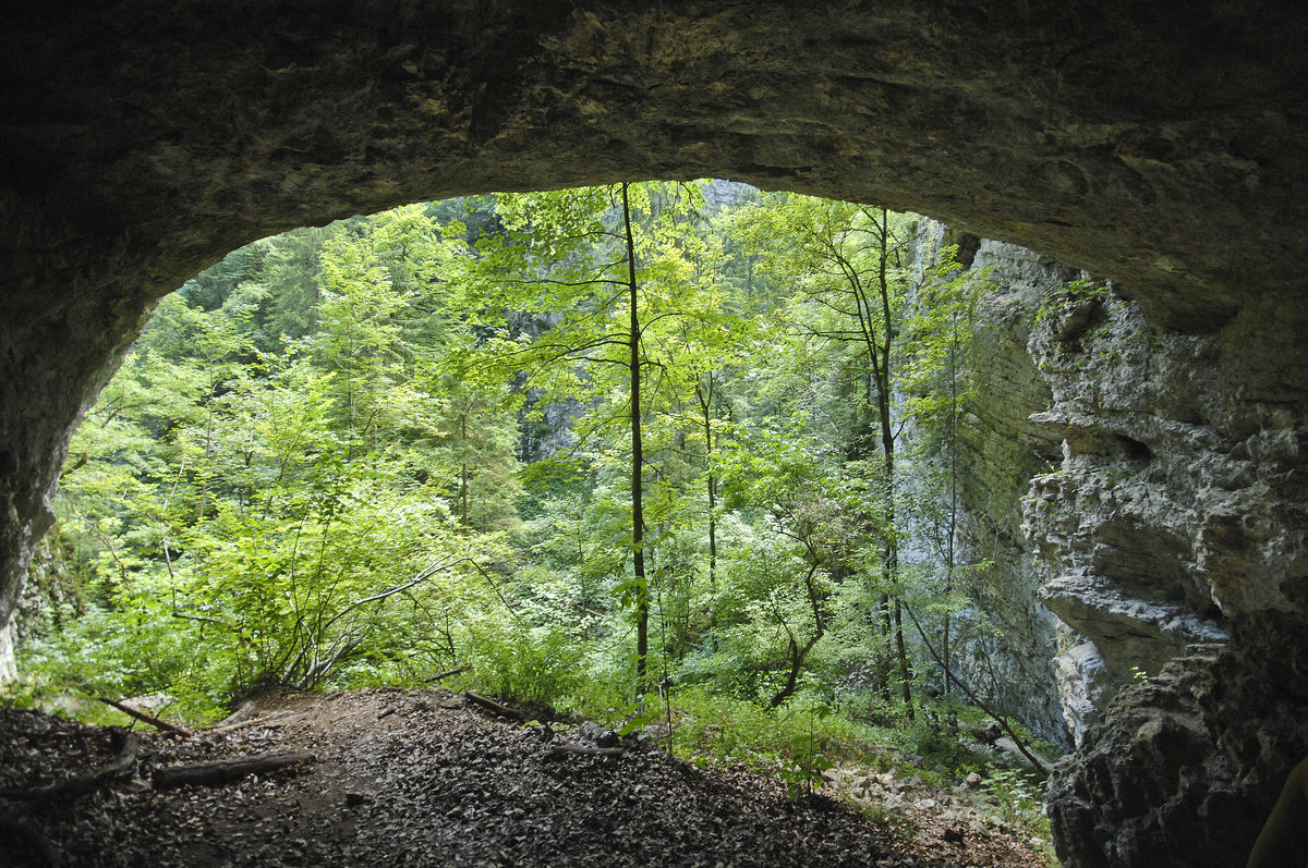 Pokljuka Ravine in Sloweien. Aufnahme: 3. August 2016.