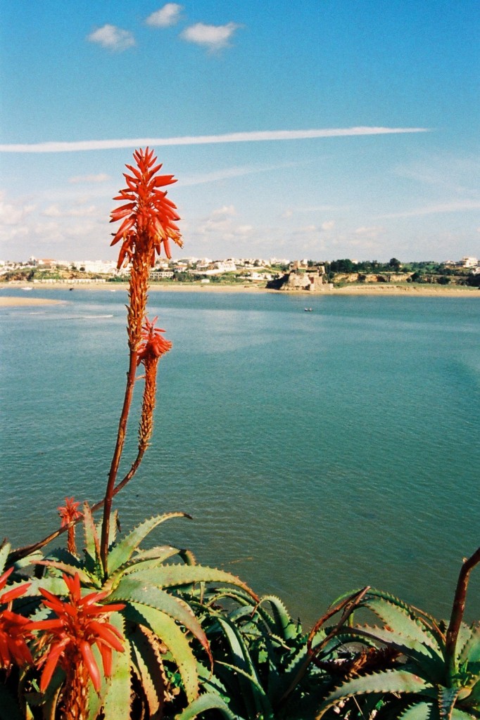 PORTIMÃO, 06.01.1998, Arademündung bei Praia da Rocha -- Foto eingescannt