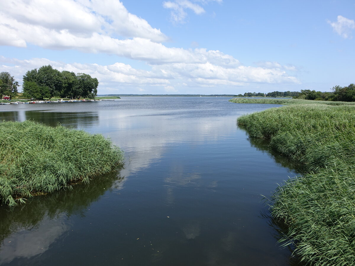 Præstø Fjord bei Præstø, Seeland (19.07.2021)