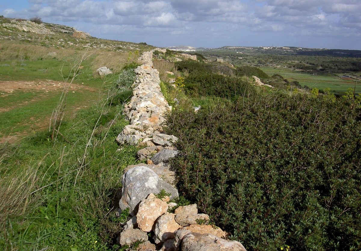 Qasam Barrani Höhen bei Manikata (24.03.2014)