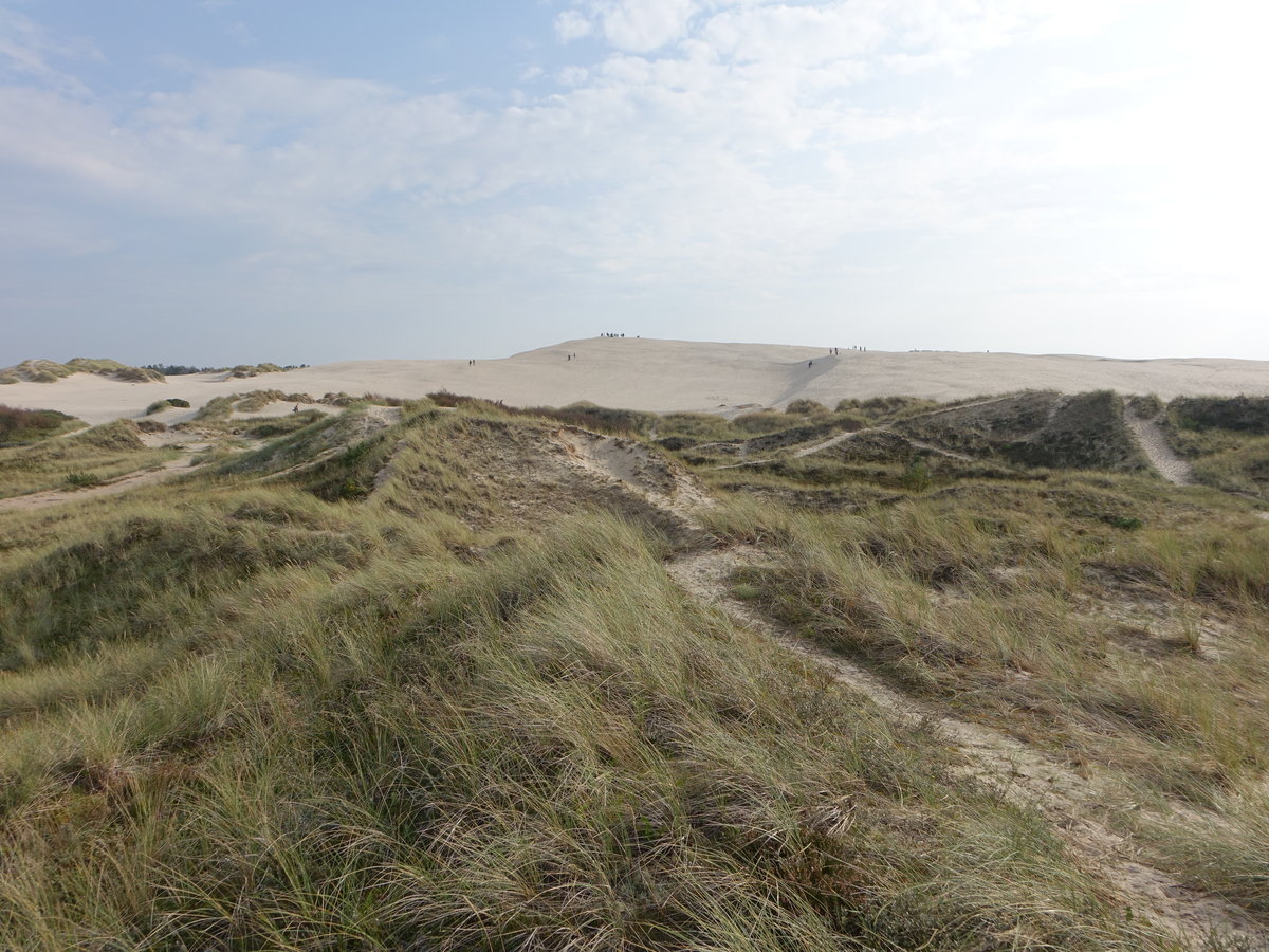 Rabjerg Mile, Wanderdüne an der Nordspitze Jütlands (23.09.2020)