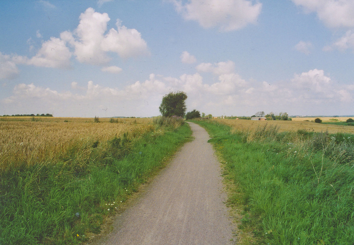 Radweg auf der ehemaligen Eisenbahnstrecke Skive-Glyngøre auf der Halbinsel Salling (vom Analogfoto). Aufnahme: Juli 2003.