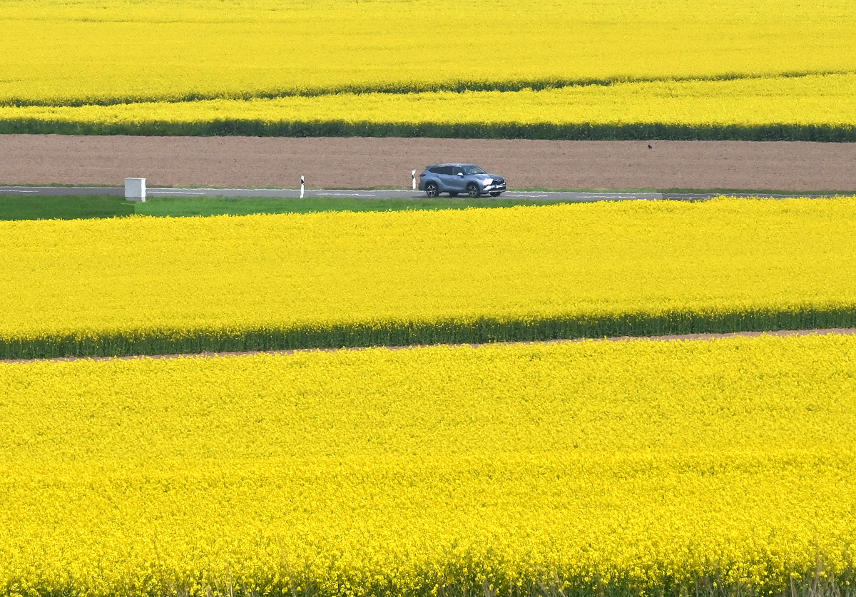 Rapsfelder mit PkW bei Euskirchen - 23.04.2022