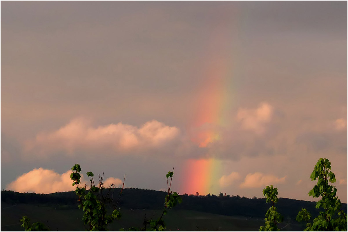 Regenbogen, teilweise von Wolken verdeckt -

Über der Buocher Höhe nördlich des Remstal scheint der Regenbogen auf seiner linken Seite verankert zu sein.

06.05.2021 (M)