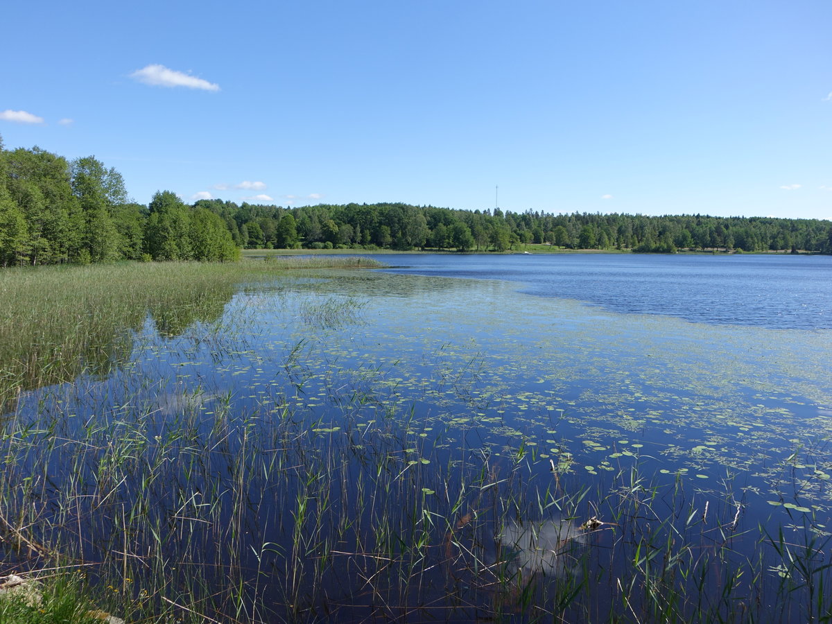 Regnaren See bei Regna, Östergötland (05.06.2018)