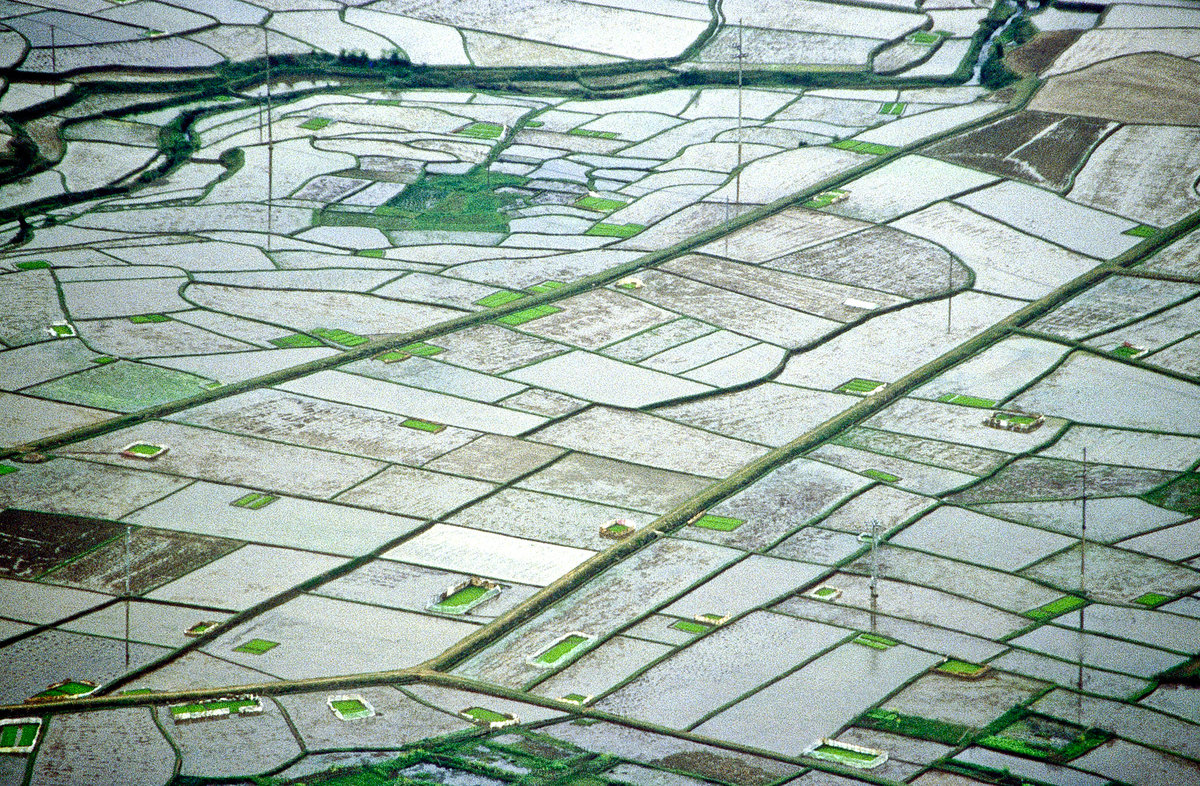 Reisfelder bei Mai Chau östlich von Hanoi. Bild vom Dia. Aufnahme: Januar 2001.