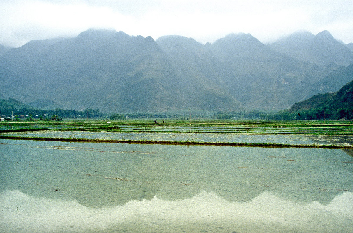 Reisfelder und Berge bei Mai Chau westlich von Hanoi. Bild vom Dia. Aufnahme: Januar 2001.