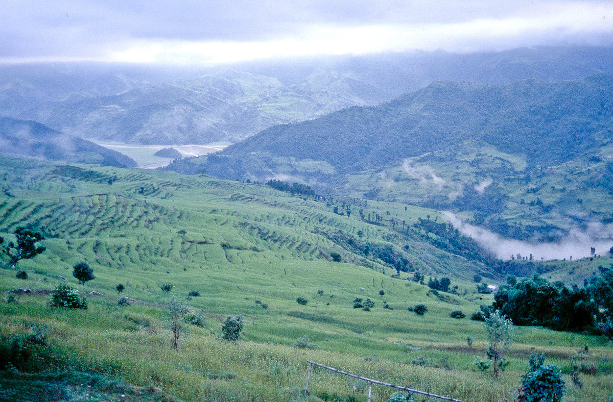 Reisfelder westlich von Pokhara in Zentral-Nepal. Bild vom Dia. Aufnahme: September 1988.