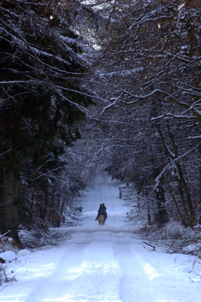 Reiter im Handewitter Forst. Aufnahme: Februar 2015.