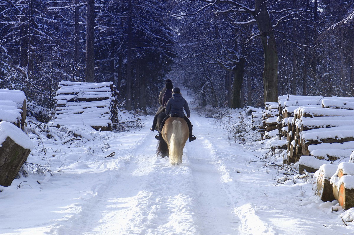 Reiter im Handewitter Forst. Aufnahme: Februar 2015.