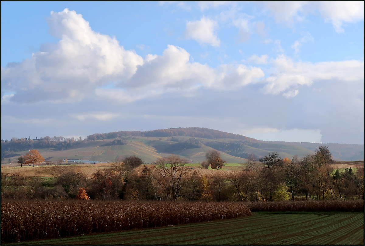 Remstallandschaft -

Blick über das Beibachtal zur den Weinbergen unterhalb des Karlsteines.

20.11.2020 (M)