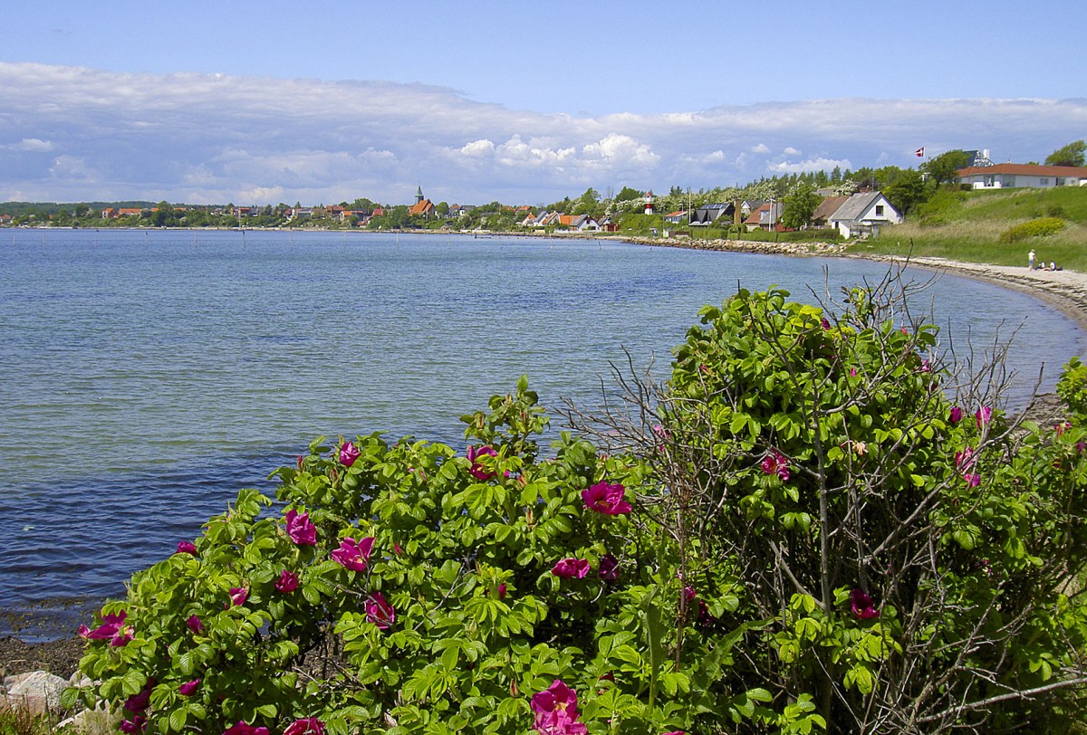 Rendbjerg (Dänemark) an der Flensburger Förde. Im Hintergrund das Dorf Egernsund (auf deutsch: Ekelsund). Aufnahme: Mai 2006.