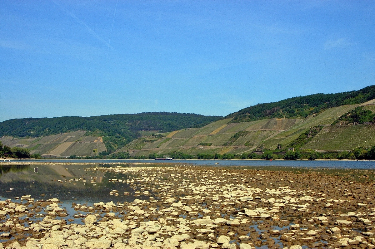 Rhein (Bopparder Hamm) mit Blick flussaufwärts während extremen Niedrigwassers am 07.05.11 bei Osterspai.