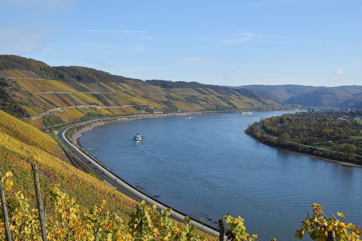 Rhein (Bopparder Hamm) mit Blick flussabwärts bei Boppard am 31.10.17.