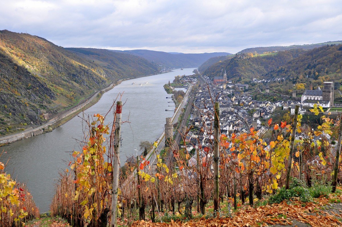 Rhein flussaufwärts bei Oberwesel am 23.11.13.