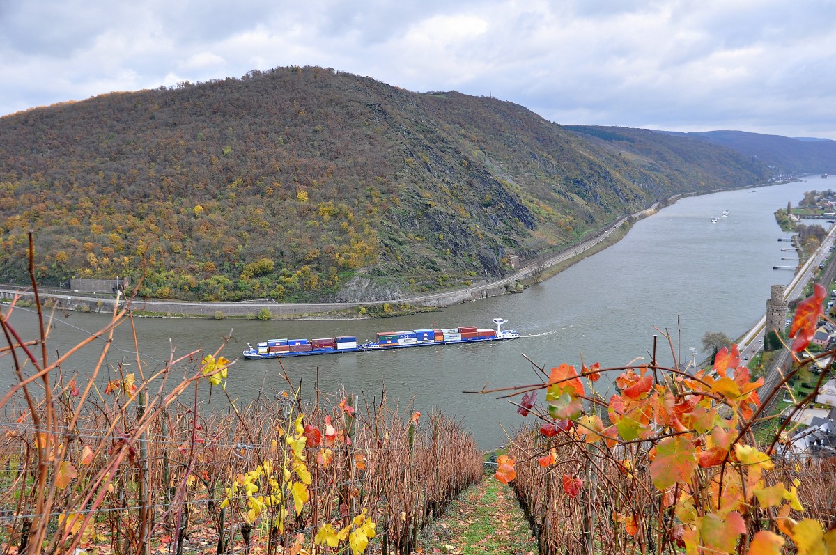 Rhein mit Blick flussaufwärts bei Oberwesel am 23.11.13.