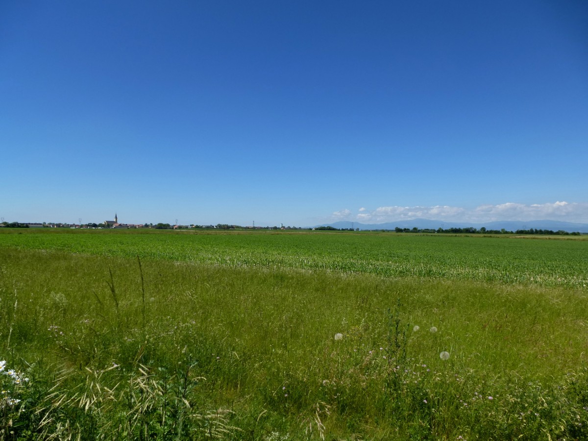 Rheinebene bei Heiteren im Oberelsa, am Horizont die Vogesen, Juni 2013