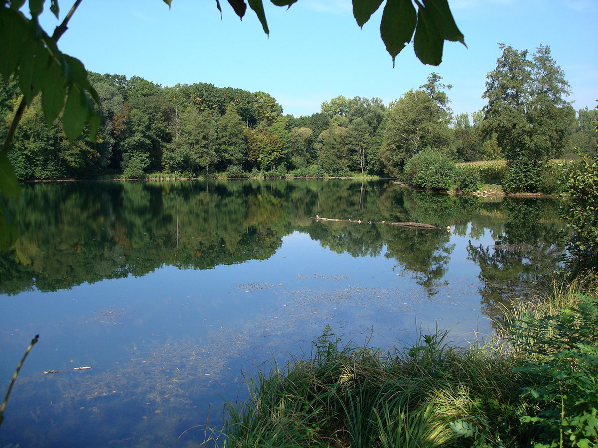 Rheinebene, Fischweiher nrdlich von Freiburg, Sept.2009