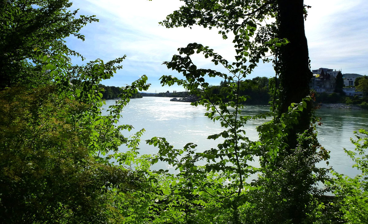 Rheinfelden AG, Blick von der Rheininsel(Burgstall) flußabwärts, rechts das Deutsche Ufer, Mai 2017  