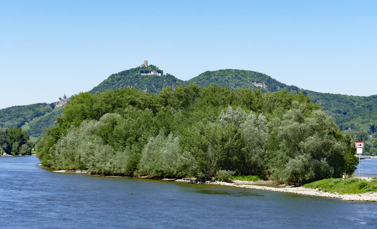 Rheininsel Nonnenwerth, im Hintergrund das Siebengebirge mit Drachenfels und Burgruine, sowie weiter links das Drachenburg-Schloß - 27.05.2017