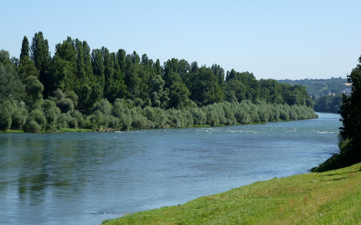 Rheinweiler, Blick fluabwrts, deutlich erkennbar die Stromschnellen im Altrhein, im Hintergrund Bad Bellingen, Juli 2015