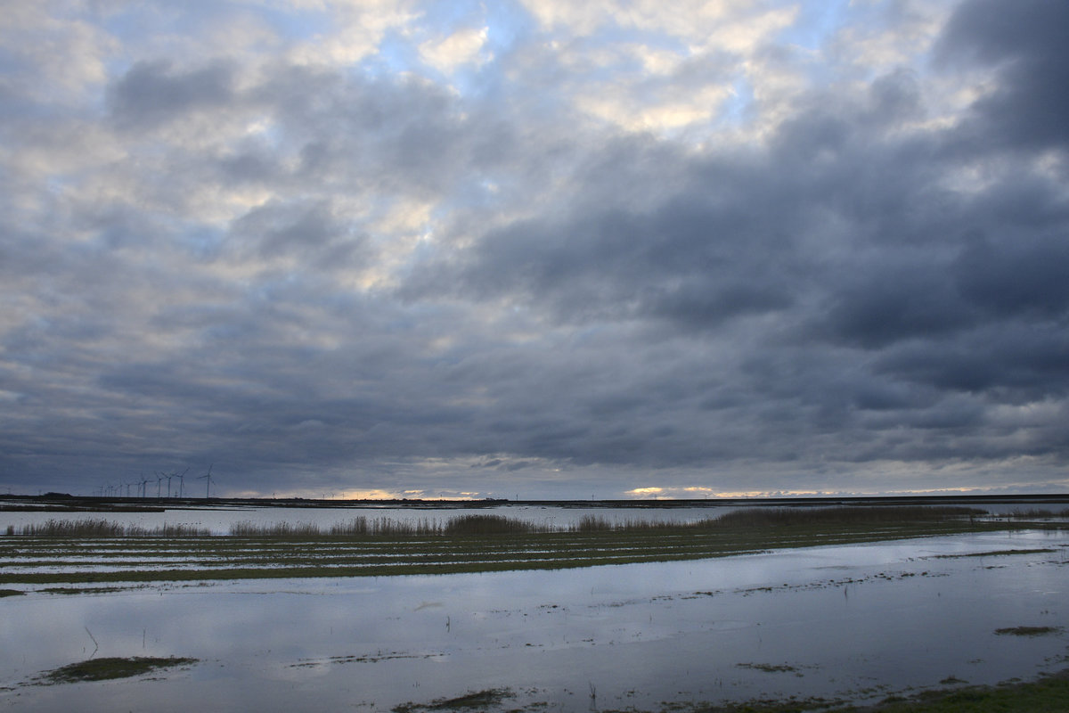 Rickelsbüller Koog ist der nördlichste Koog an der Nordwestküste Schleswig-Holsteins. Aufnahme: 4. Januar 2021.