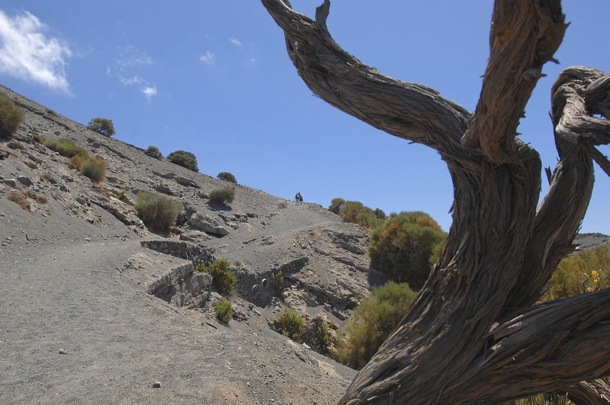 Riserva Naturale Orientata Isola di Vulcano. Aufnahmhmedatum: 2. Juli 2013.