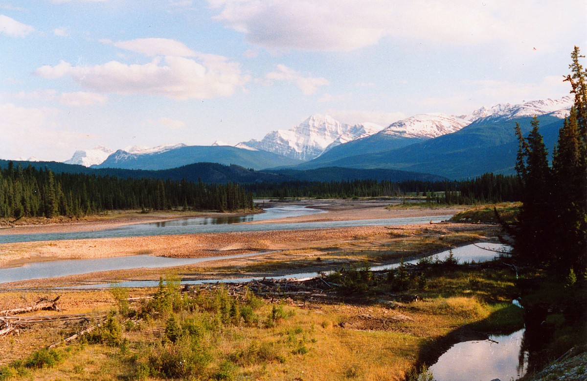 Rocky Mountains und die House River im kanadischen Jasper National park. Aufnahme: Juni 1987 (digitalisiertes Negativfoto).