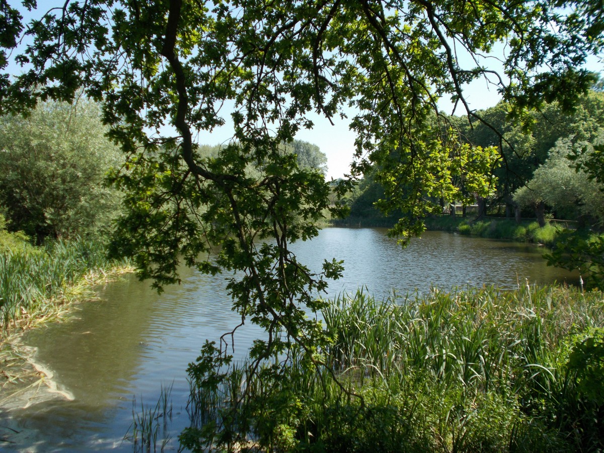 Romantisch gelegen der Dorfteich von Patzig.Aufnahme vom 22.Mai 2014.