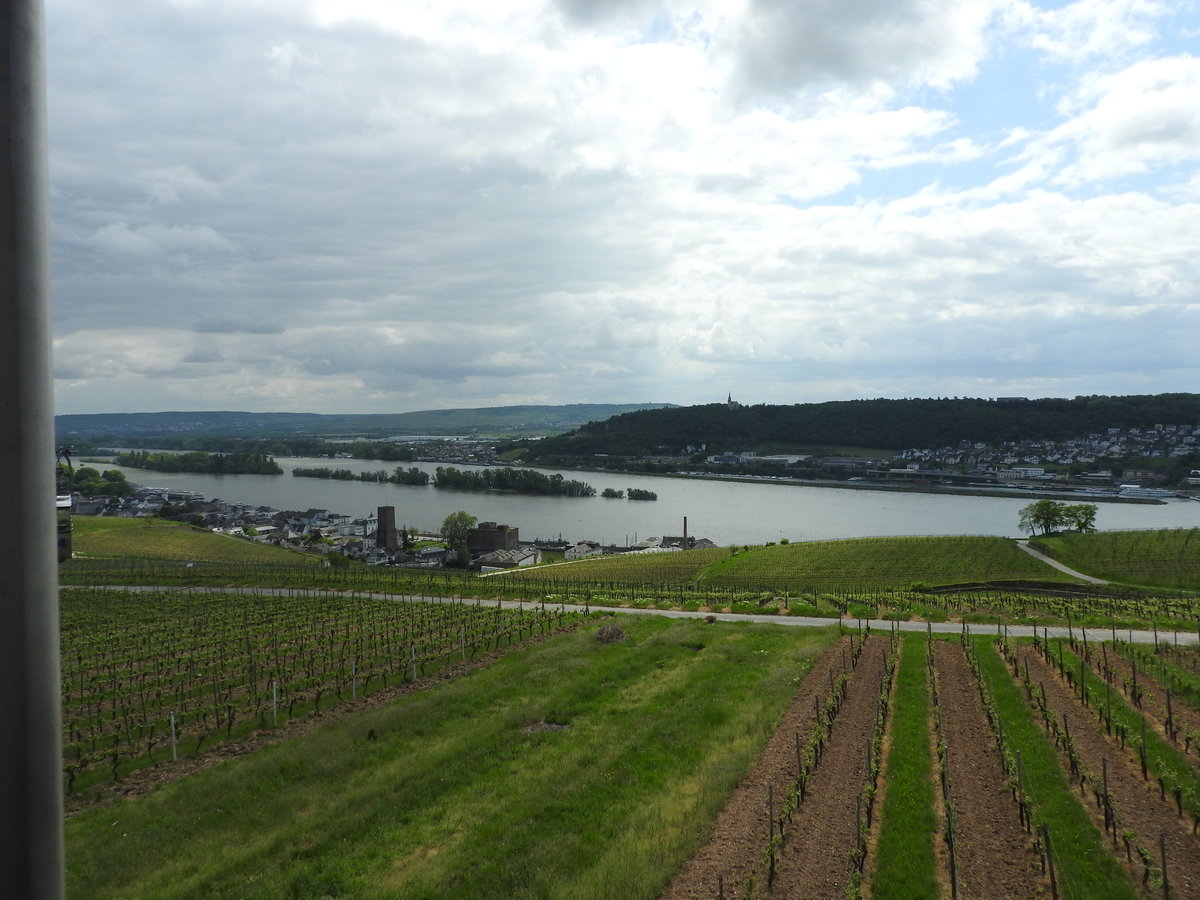 Romantisches Mittelrheintal: Aufgenommen aus der Seilbahn-Gondel über RÜDESHEIM
am 15.5.2016 geht der Blick über die Weinberge auf den romantischsten Teil des
Mittelrheins....