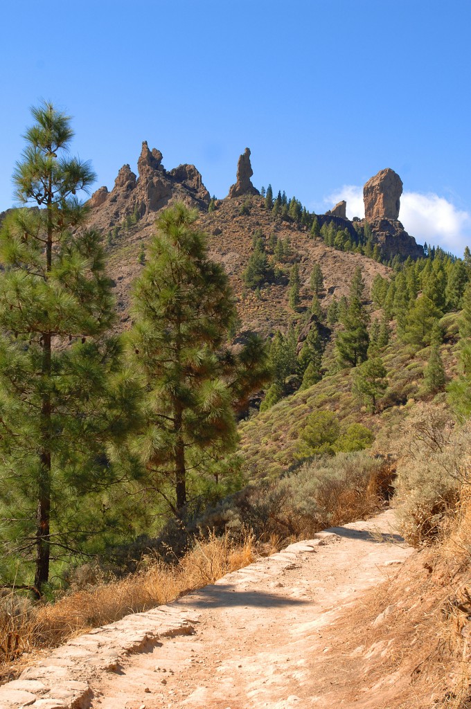 Roque Nublo - Gran Canaria. Aufnahme: Oktober 2009.