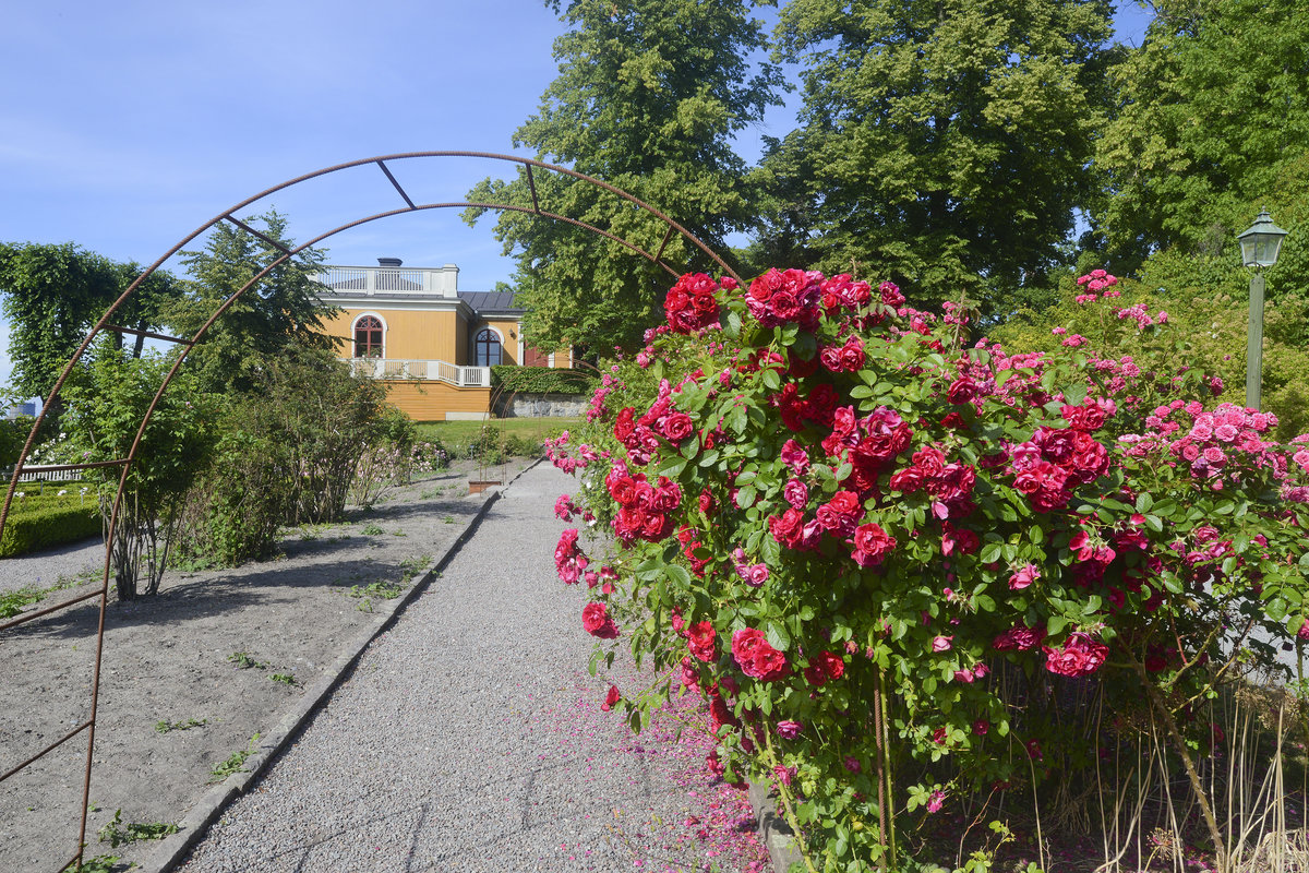 Rosengarten im Stockholmer Freilichtmuseum Skansen. Aufnahme: 25. Juli 2017.