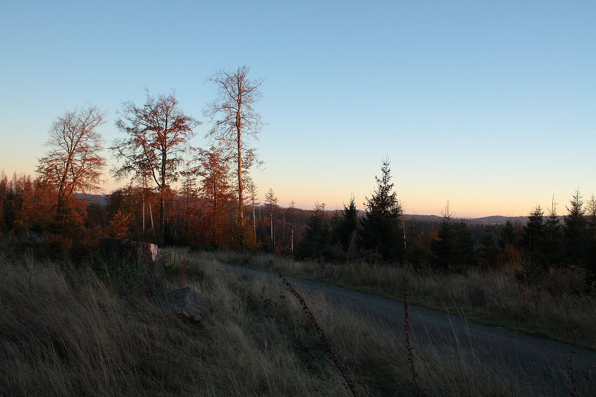 Rot glüht die untergehende Sonne auf Bäumen und buntem Laub an der Hahnenkleer Waldstraße; im Hintergrund Berge im Südharz und jenseits des Odertals; Sonntag, 24.10.2021...