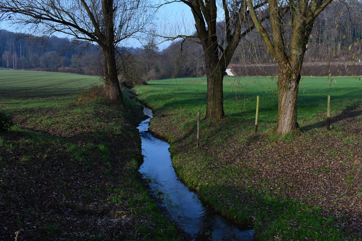 Rotthauser Bach am Rittergut Morp in Erkrath. 17.12.2016