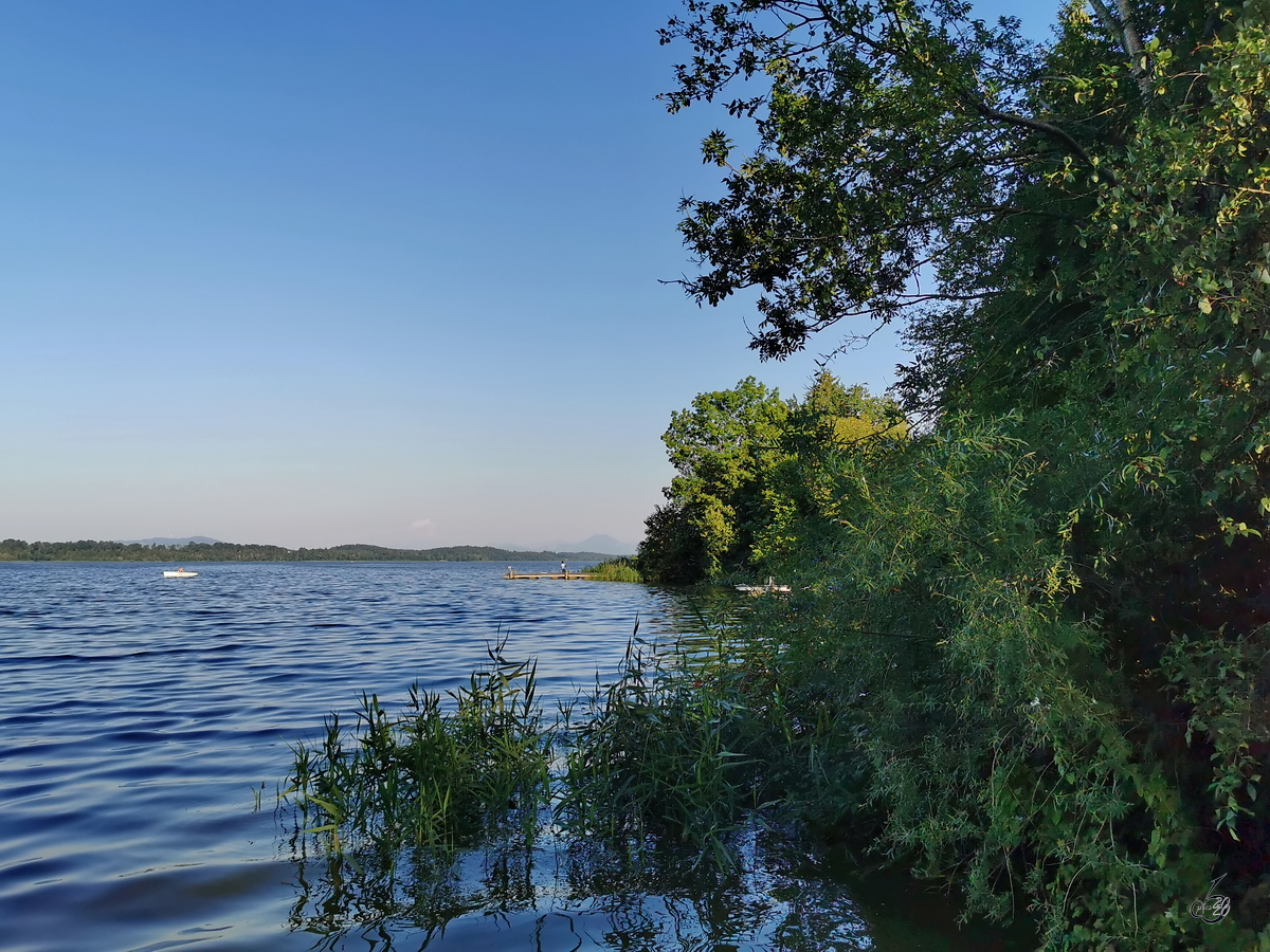 Ruhe und Erholung am Waginger See. (August 2020)