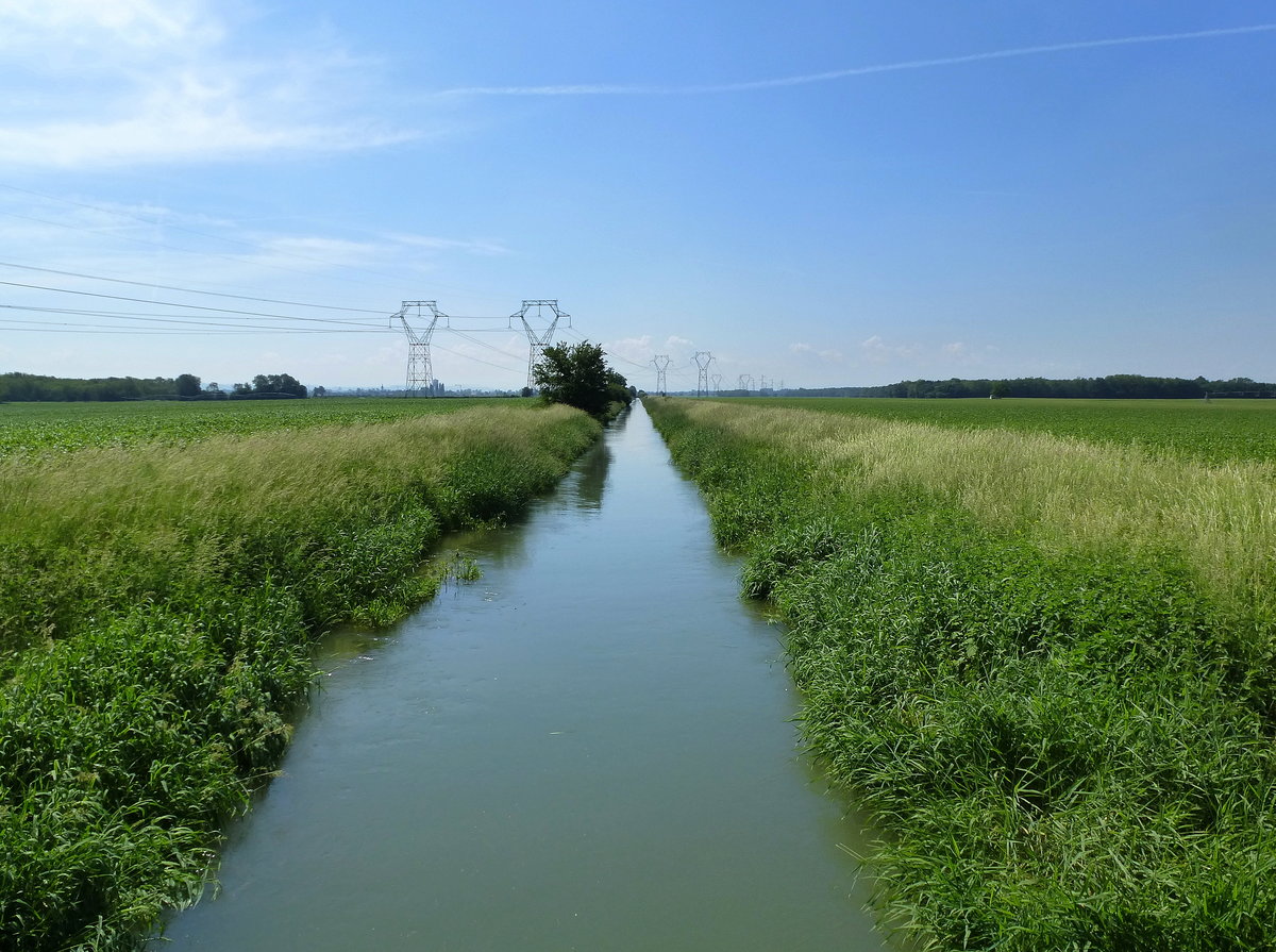 Rumersheim, der Hardt-Kanal, ein Bewässerungskanal für die Landwirtschaft in der Rheinebene des Oberelsaß, Mai 2018