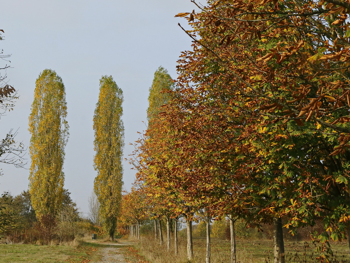 Rundgang auf den 1991 eröffneten Hüttenweg in Neunkirchen am 19. Oktober 2018.