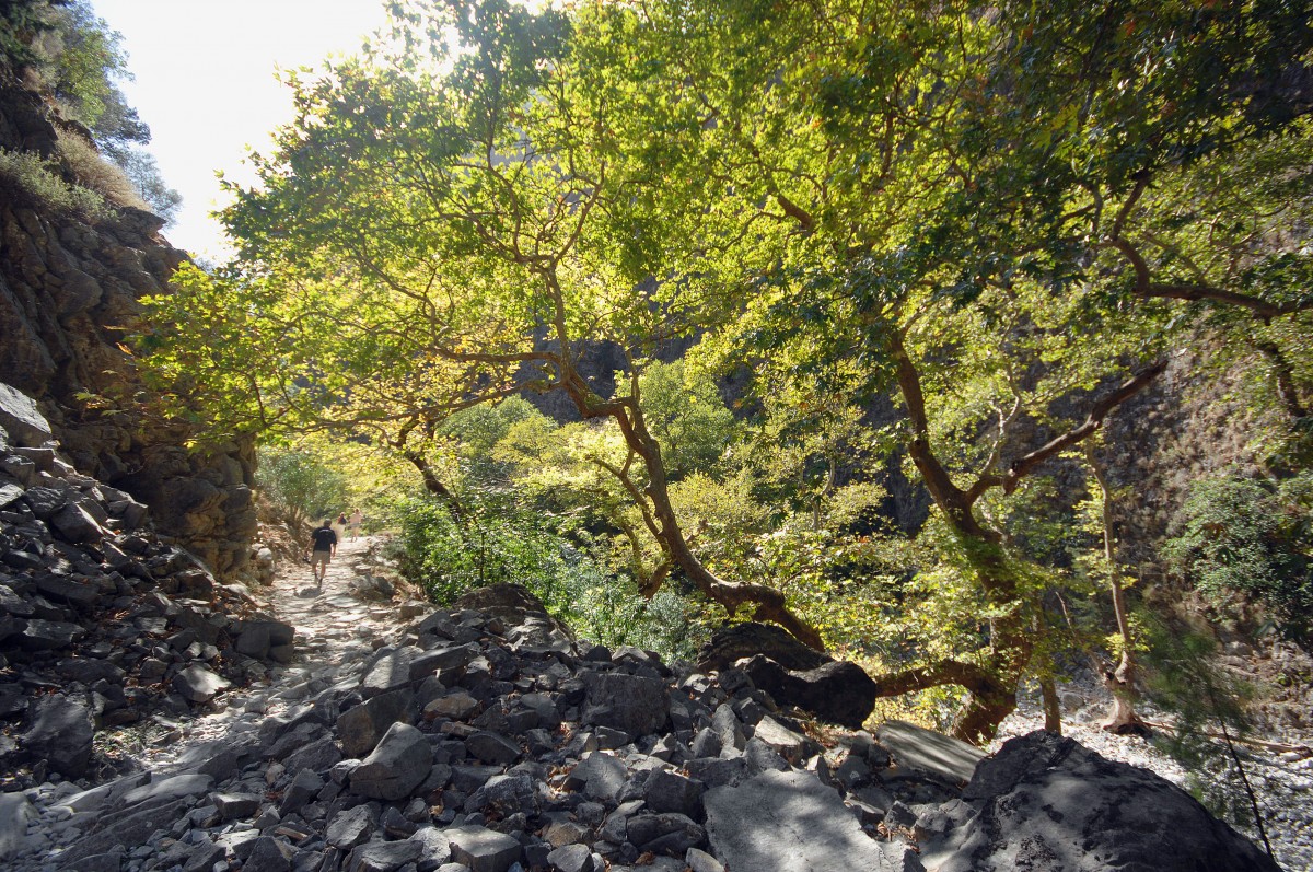 Samaria Schlucht - Kreta. Aufnahmedatum: 12. Oktober 2012