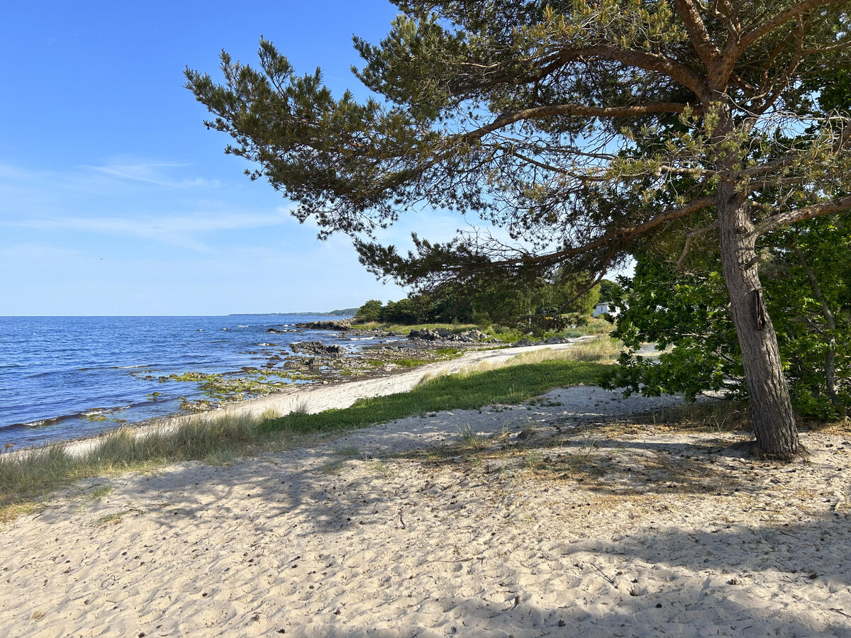 Sandstrand westlich von Gudhjem an der Nordküste von Bornholm. Aufnahme: 14. Juni 2023.