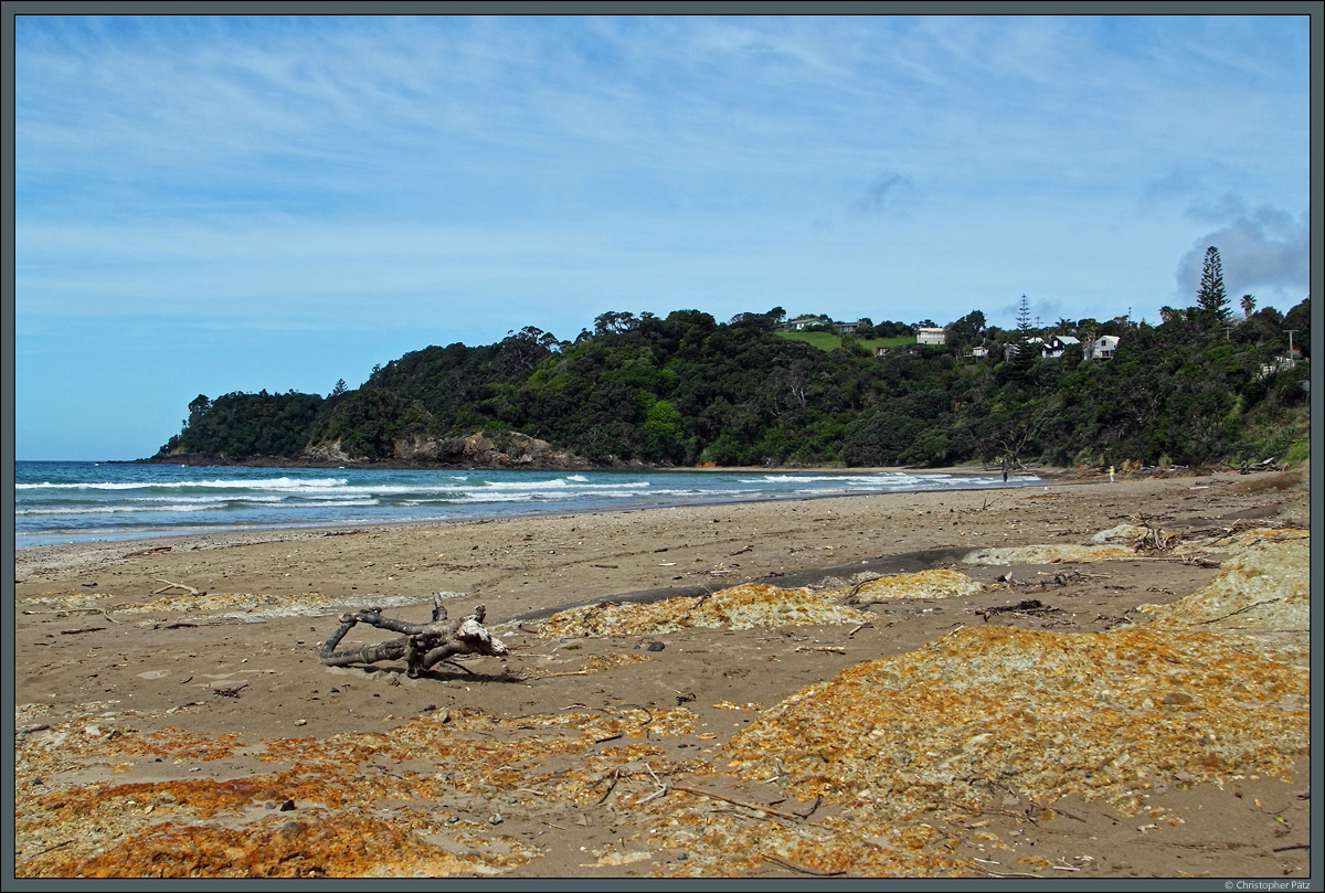 Sandy Bay nahe des kleinen Ortes Matapouri. (11.10.2016)