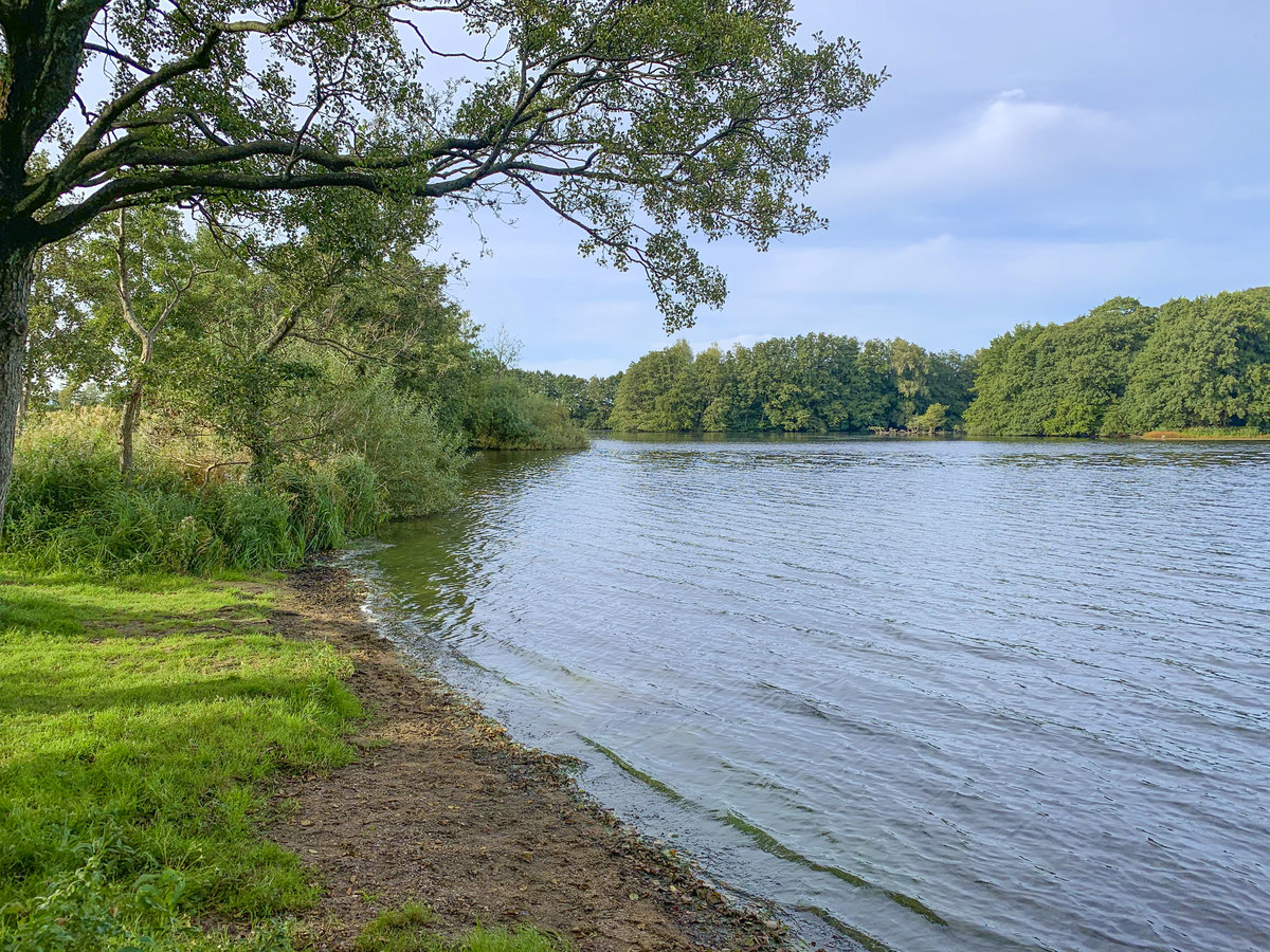 Sankelmarker See im Kreis Schleswig-Flensburg. Aufnahme: 20. September 2020.