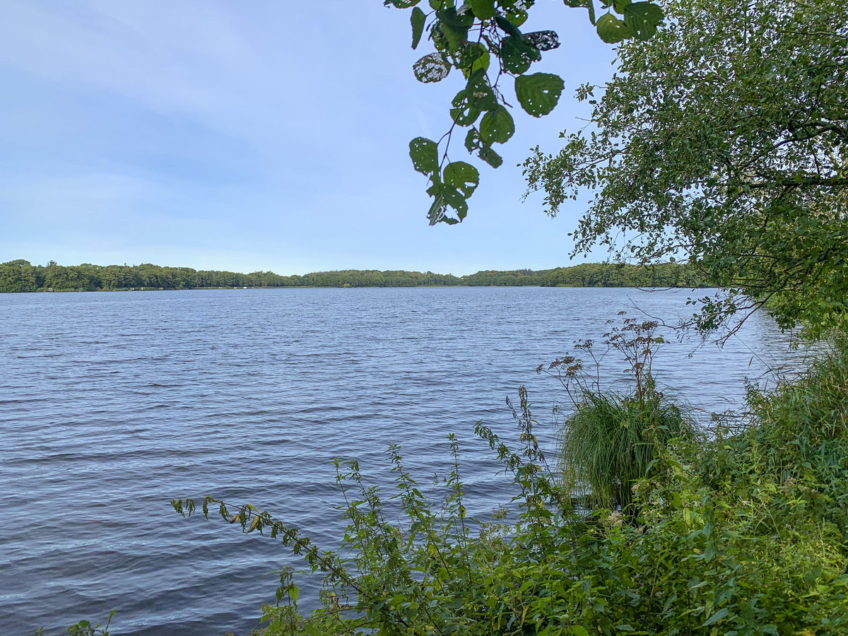 Sankelmarker See südlich von Flensburg. er etwa 57 Hektar große See ist nach dem Ende der letzten Eiszeit aus einem Toteisloch des sich zurückziehenden Gletschers entstanden. Aufnahme: 20. September 2020.