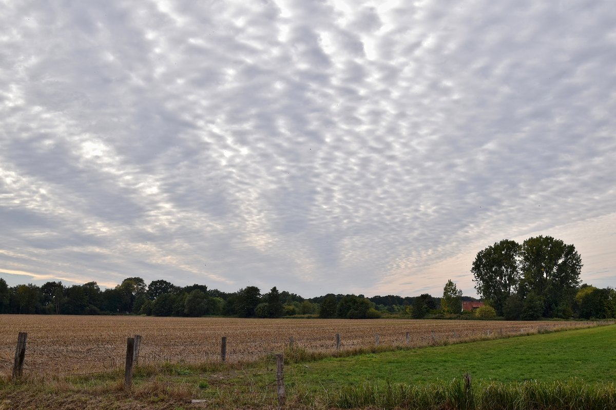 Schäfchenwolken ziehen von Westen her übers Land (Diepholz, 30.09.18).